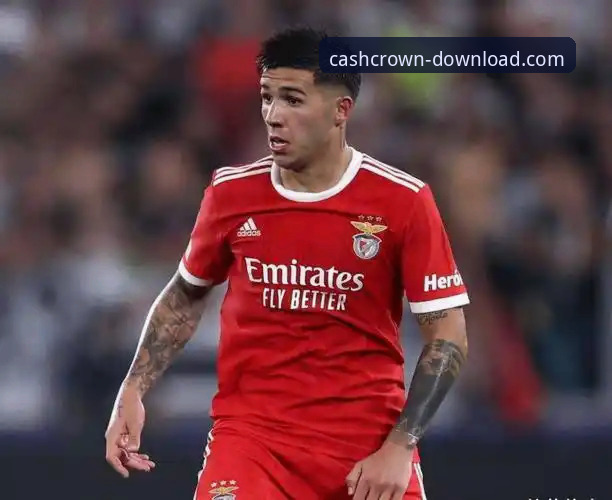 如何通过皇冠现金官网下载专区,第一时间追踪阿根廷新星伤退的深度解析?